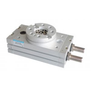 Rotary Actuator